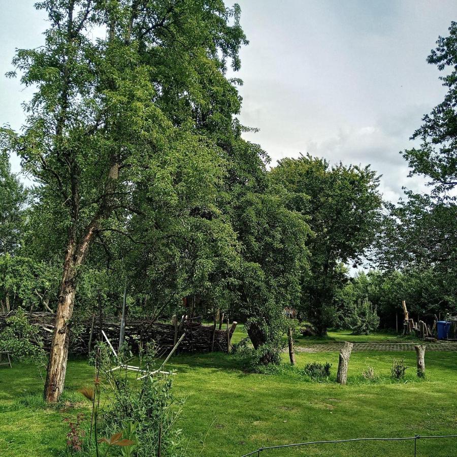 Ferienwohnung-Im-Karolinenkoog-Erholung-Zwischen-Feld-Und-Deich Exterior foto