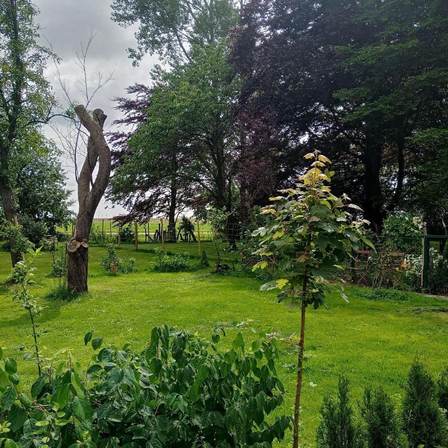 Ferienwohnung-Im-Karolinenkoog-Erholung-Zwischen-Feld-Und-Deich Exterior foto
